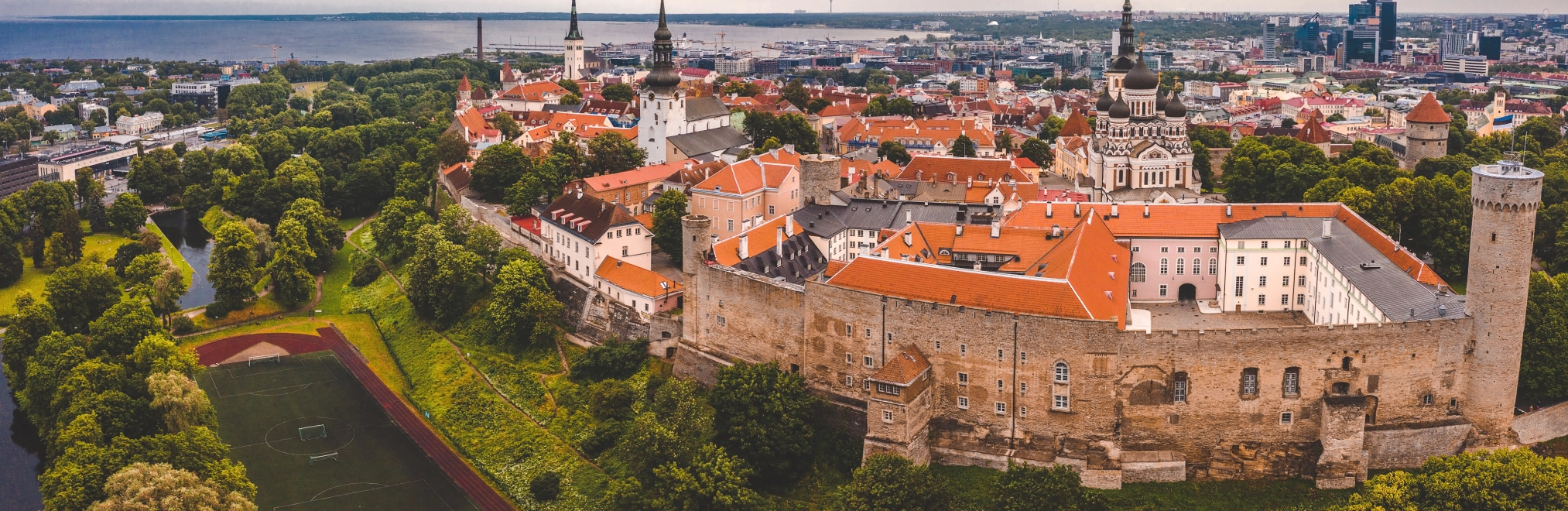 Estonia Banner
